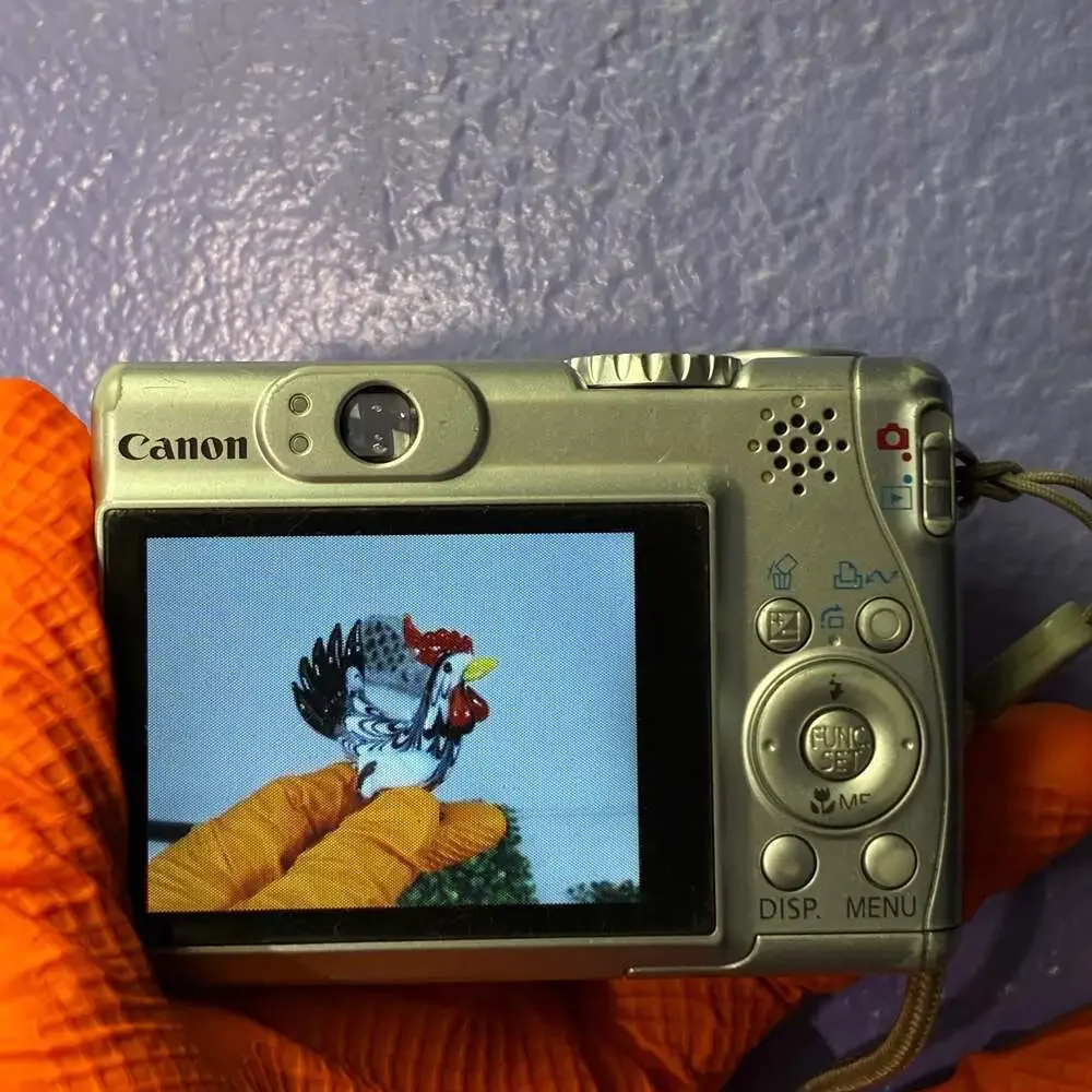 Canon PowerShot A540 6.0MP Digital Camera with 1GB SD Card